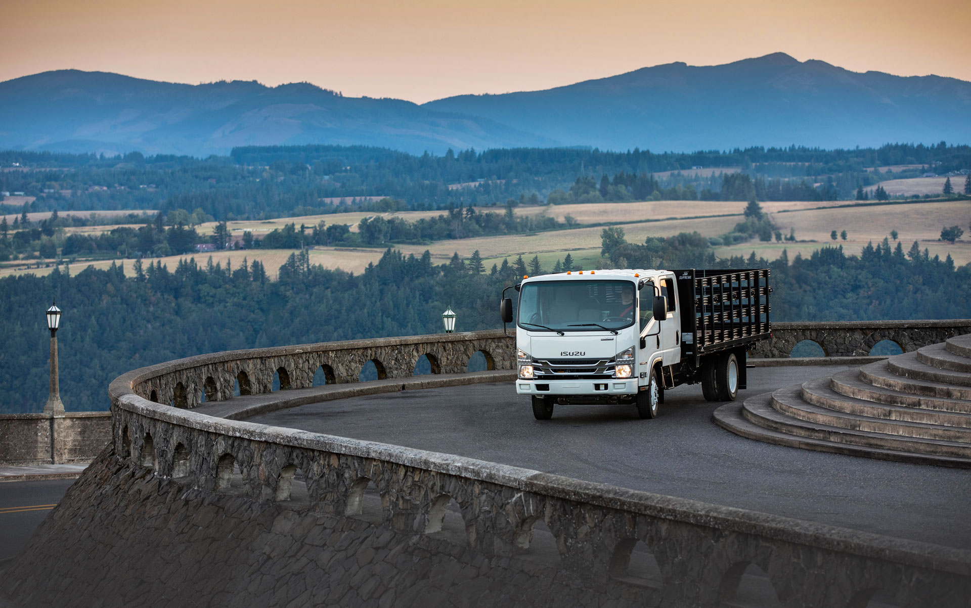 ISUZU N-Series Truck